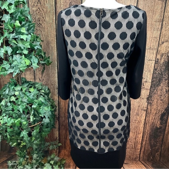 Black dress with polka dots & lace , size 10 - Picture 2 of 8